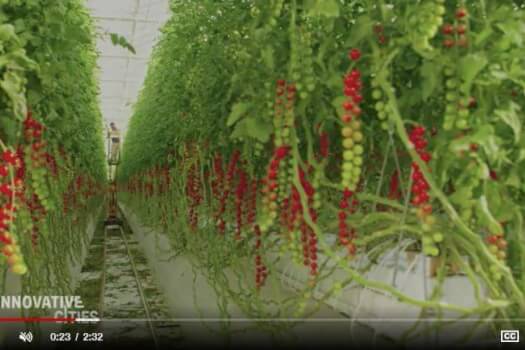 We zijn er trots op dat onze producten actief zijn in Abu Dhabi