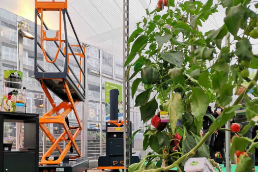 World Food Festival Rotterdam