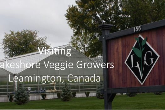 Project Lakeshore Veggies, Ontario, Canada Project Lakeshore Veggies, Ontario, Canada