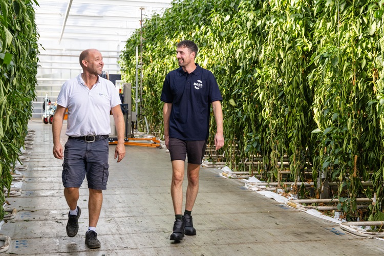 The BeMatic Meto at Kwekerij De Westhoek