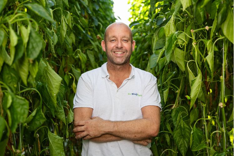 De BeMatic Meto bij Kwekerij De Westhoek, Maasland