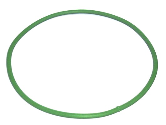 Guiding belt 520X8mm