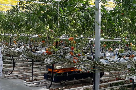 LLC Agro-Invest, intelligente logistieke oplossing