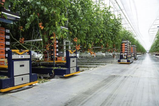 Les Serres des Hauts, AGV Gridmap oogstsysteem