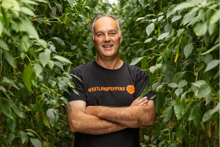 De BeNomic Star bij Westlandpeppers